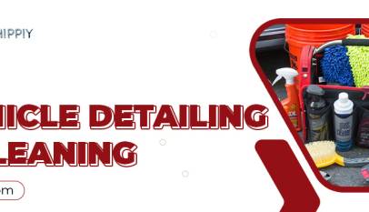 vehicle detailing & cleaning