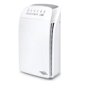 air purifier for large room